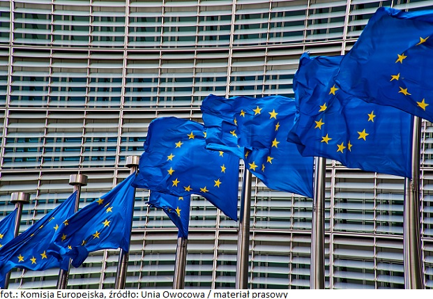 Komisja Europejska