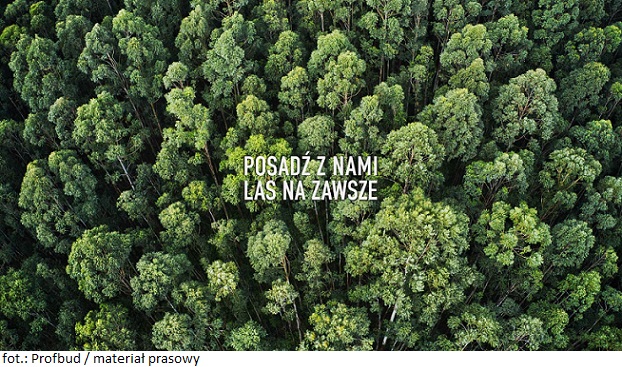 Nowy wymiar działań CSR w służbie ekologii – warszawski deweloper działający na rynku nieruchomości komercyjnych posadzi las