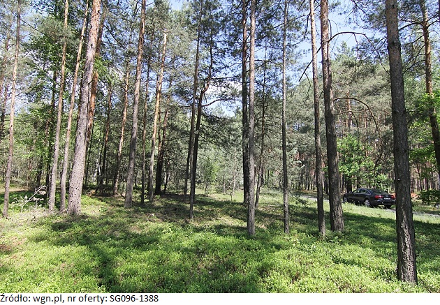 WGN pośredniczy w sprzedaży gruntu leśnego o powierzchni 23700 m2
