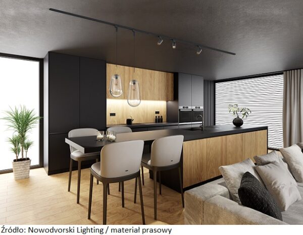 Modern and minimalist apartment interior living room. Kitchen with long island. Natural oak texture material with black matte finish. Modern furniture. 3d renderings.