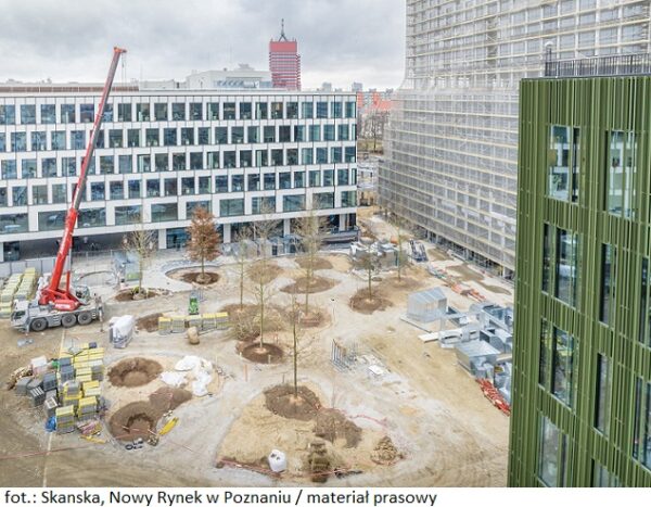 Skanska_Nowy Rynek_nasadzenia drzew_01