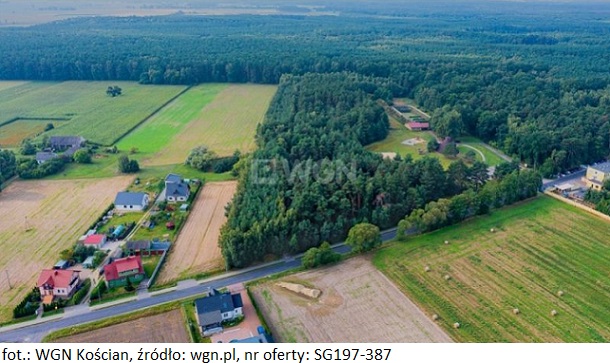 WGN pośredniczy w sprzedaży gruntu leśnego w Zdroju