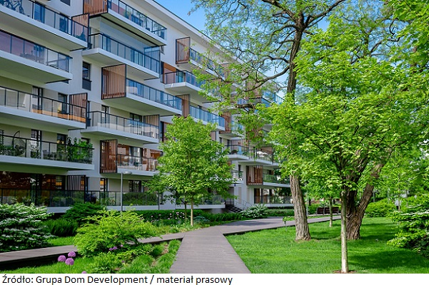 Od 2017 roku Grupa Dom Development posadziła już niemal 960 tys. drzew i krzewów